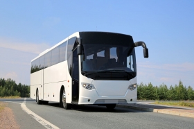 Buses & Minibuses