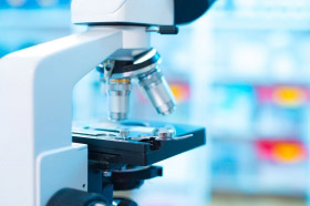 Laboratory Equipment
